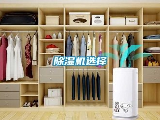 企业新闻除湿机选择