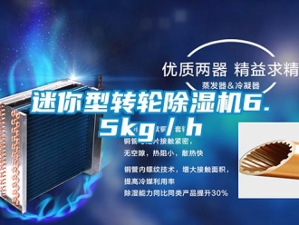 行业新闻迷你型转轮除湿机6.5kg／h