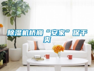 企业新闻除湿机桥巅“安家”保干爽