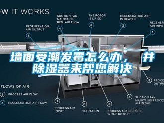行业新闻墙面受潮发霉怎么办，東井除湿器来帮您解决