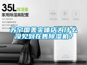 知识百科苏宁国美实体店为什么没见到在售除湿机？