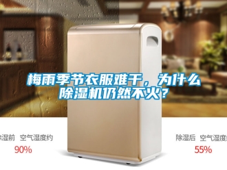 行业新闻梅雨季节衣服难干，为什么除湿机仍然不火？