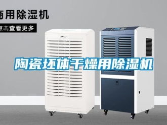 知识百科陶瓷坯体干燥用除湿机