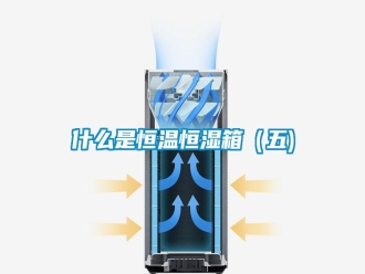 知识百科什么是恒温恒湿箱（五)