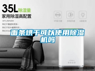 常见问题面条烘干可以使用除湿机吗
