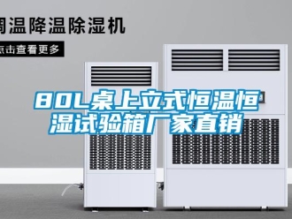 常见问题80L桌上立式恒温恒湿试验箱厂家直销