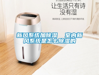 行业新闻新风系统加除湿  室内新风系统是怎么除湿的