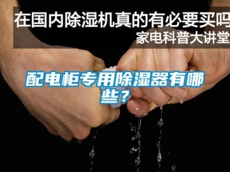 行业新闻配电柜专用除湿器有哪些？