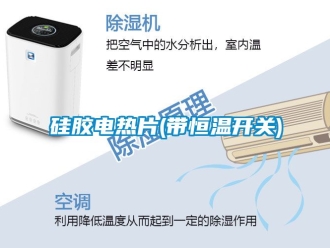 知识百科硅胶电热片(带恒温开关)