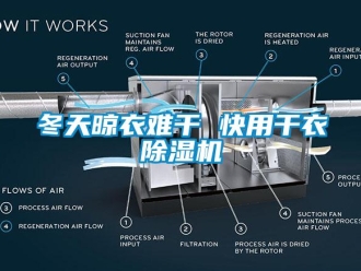行业新闻冬天晾衣难干 快用干衣除湿机