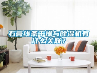 知识百科石膏线条干燥与除湿机有什么关联？