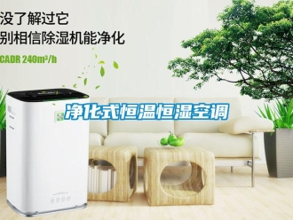 知识百科净化式恒温恒湿空调