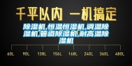 除湿机,恒温恒湿机,调温除湿机,管道除湿机,耐高温除湿机