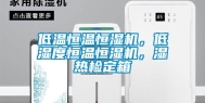 低温恒温恒湿机，低湿度恒温恒湿机，湿热检定箱