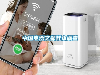 知识百科中国电器之都样本调查