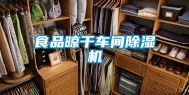 食品晾干车间除湿机