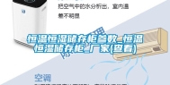 恒温恒湿储存柜参数_恒温恒湿储存柜_厂家(查看)