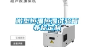 微型恒温恒湿试验箱非标定制