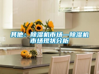 行业新闻其他：除湿机市场—除湿机市场现状分析