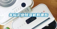 非标工业除湿机有哪些