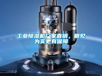 企业新闻工业除湿机厂家直销，眼见为实更有保障