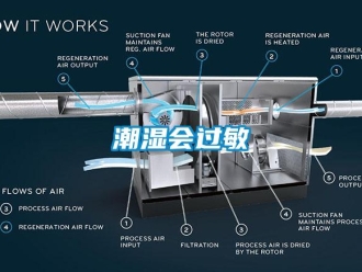 企业新闻潮湿会过敏