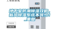 地下室防潮除湿攻略，新风除湿系统不可少！_重复