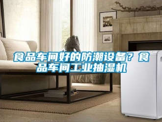 企业新闻食品车间好的防潮设备？食品车间工业抽湿机