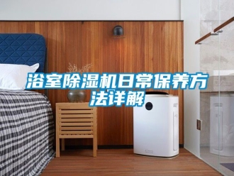 行业新闻浴室除湿机日常保养方法详解