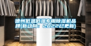 德州低温低湿专用除湿机品牌(新动向：2022已更新)