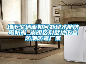 企业新闻地下室墙面如何处理才能防霉防潮_崇明区别墅地下室防潮防霉厂家
