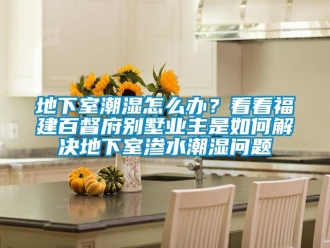 企业新闻地下室潮湿怎么办？看看福建百督府别墅业主是如何解决地下室渗水潮湿问题