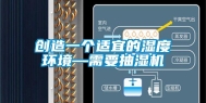 创造一个适宜的湿度环境—需要抽湿机