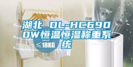 湖北 DL-HC6900W恒温恒湿称重系统