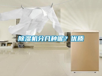 行业新闻除湿机分几种呢？优质