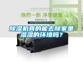 行业新闻除湿机真的能去除家里湿湿的环境吗？