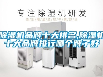 企业新闻除湿机品牌十大排名,除湿机十大品牌排行哪个牌子好