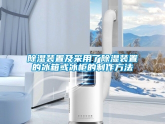 行业新闻除湿装置及采用了除湿装置的冰箱或冰柜的制作方法