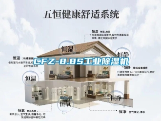 常见问题CFZ-8.8S工业除湿机
