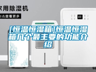 常见问题[恒温恒湿箱]恒温恒湿箱几个最主要的功能介绍