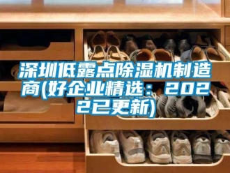 行业新闻深圳低露点除湿机制造商(好企业精选：2022已更新)