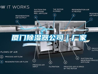 行业新闻厦门除湿器公司｜厂家
