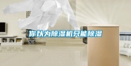 你以为除湿机只能除湿