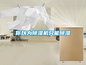 行业新闻你以为除湿机只能除湿