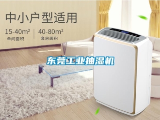 企业新闻东莞工业抽湿机