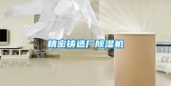精密铸造厂除湿机