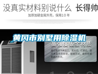 行业新闻黄冈市别墅用除湿机