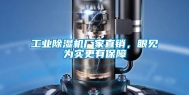 工业除湿机厂家直销，眼见为实更有保障