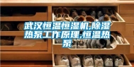武汉恒温恒湿机,除湿热泵工作原理,恒温热泵
