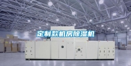 定制款机房除湿机